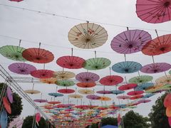 -都江堰玫瑰花溪谷