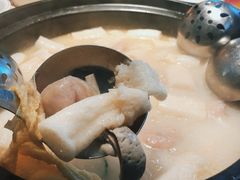 顺德鱼皮饺-顺德公广东猪肚鸡·煲仔饭(白石洲店)