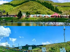 -仰天湖大草原