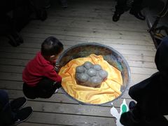 -诸城市恐龙博物馆