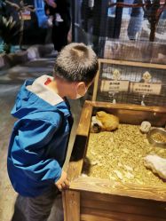 -酷嗒动物文化乐园(cutezoo西溪乐天城店)