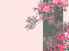-刀板香·安徽菜(国购IFC店)