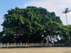 -船政文化景区-罗星塔公园