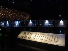 -侵华日军南京大屠杀遇难同胞纪念馆