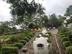 -100蛋泥浆浴