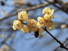 -荔枝苑养生餐厅(尊尚领地店)