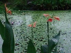 -杭州植物园