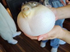 -永安鱼庄·镇江菜(丁卯店)