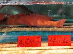 -榕树下海鲜馆(坪山路店)