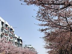 -永乐路-路侧停车场