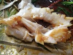 清蒸海鲈-顺徕德仙庙烧鸡(荔湾总店)