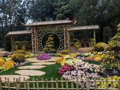 -上海共青森林公园