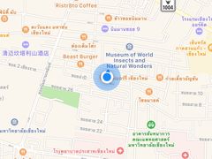 位置-莓园冰淇淋店