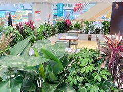 -银座mall(东直门店)