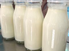 -正飞鲜奶(南湖一期店)