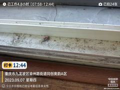 -重庆轻喜到家家政保洁