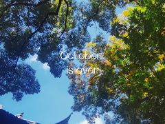 -宁波市保国寺古建筑博物馆