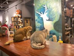 -咖法森林·咖啡  酒吧(天河店)