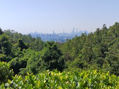 -火炉山森林公园