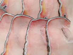 -红鼎豆捞·非遗鲍皇汤火锅(宝丰路店)