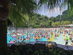 -重庆海昌加勒比海水世界