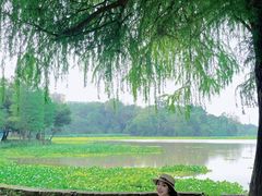 -南宁良凤江国家森林公园