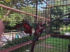 -南昌动物园