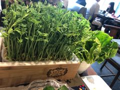 -捞王锅物料理(上海世茂广场店)