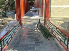 -有喜胶东小馆(太申祥和店)