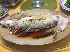 -长兴岛郊野公园农场食堂