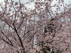-杭州植物园