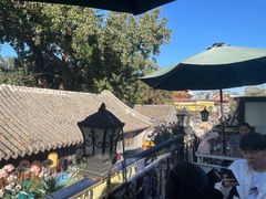 -Sirena海妖日咖夜酒