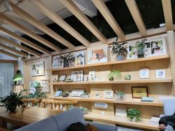 -七色田儿童摄影(静安店)