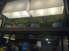 -肯德基(西桥店)