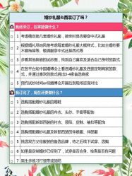 -禧趣婚礼