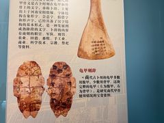 -长沙简牍博物馆
