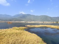 -腾冲北海湿地