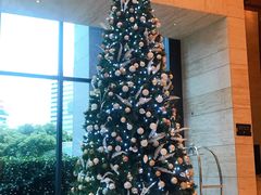 -上海龙之梦万丽酒店