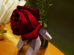 -梧桐花园餐厅(新城店)