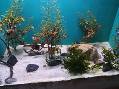 -上海海洋水族馆