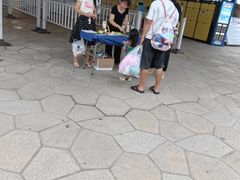 -华夏文旅海洋公园