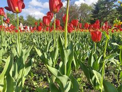 -长春公园(普阳街道)