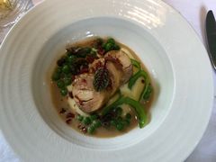 -蝶舍·MAISON PAPILLON