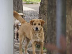 -丝绸小镇荻港古村