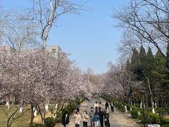 -山东师范大学(千佛山校区)
