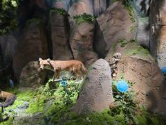 -湖南省地质博物馆