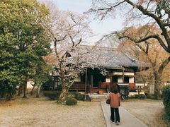 -醍醐寺