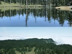 -瓦屋山景区