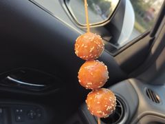 -白鹭湾湿地公园