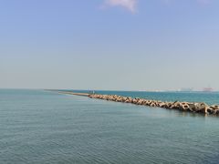 -东疆建设开发纪念公园